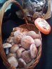 FB_IMG_1728964916783.jpg