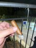 IMG_4300.jpeg