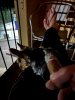 IMG_4301.jpeg