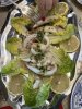 IMG_2798.jpeg
