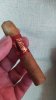 IMG-20250303-WA0002.jpeg