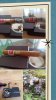20250319_135126-COLLAGE.jpg
