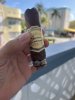 IMG_7780.jpeg