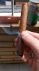 IMG-20250413-WA0000.jpeg