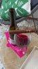IMG-20250624-WA0010.jpeg
