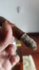 1000039652-01.jpeg