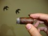 DSC04150.JPG