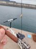 20250927_173100.jpg