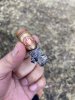 IMG_7451.jpeg