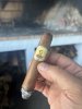 IMG_6449.jpeg