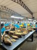 Escogida. Oscar Valladares. Danli.Honduras foro.jpg