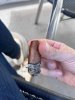 Partagas Maduro n2 3.jpg