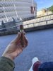 IMG_6358.jpeg