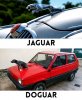 Ah!...la sentiste!...(¿)_Dogcar00.jpg