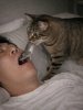 Ah!...la sentiste!...(¿)_Cat Food000.jpg