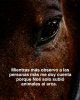 Ah!...la sentiste!...(¿)_Pensamiento00.jpg