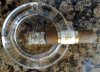 Ah!...la sentiste!...(¿)_CDT-robusto.jpg