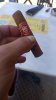 IMG-20260804-WA0000.jpeg