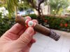 Ah!...la sentiste!...(¿)_Mito-robusto.jpg