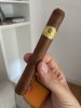 IMG_3185.jpeg