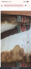 Screenshot_20261001-150328.png