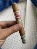 IMG_0410.jpeg