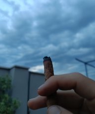 Carlosmor23