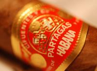 RoyCigar
