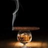 JMFORCE
